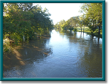 photo of caney creek tidal