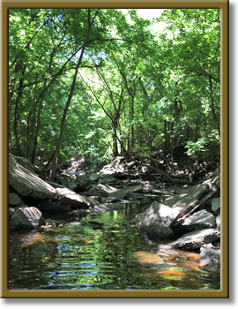 photo of Cedar Creek in the Lufkin area