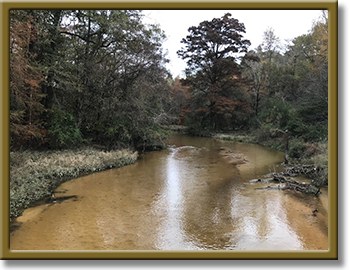 Sandy Creek photo 118
