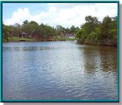 Dickinson Bayou photo 17