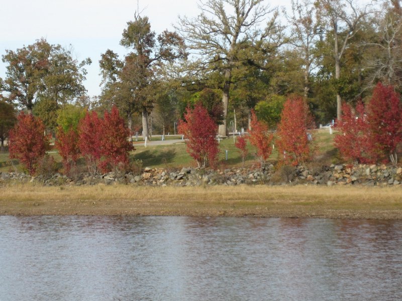 Lake O' the Pines 3 photo 19