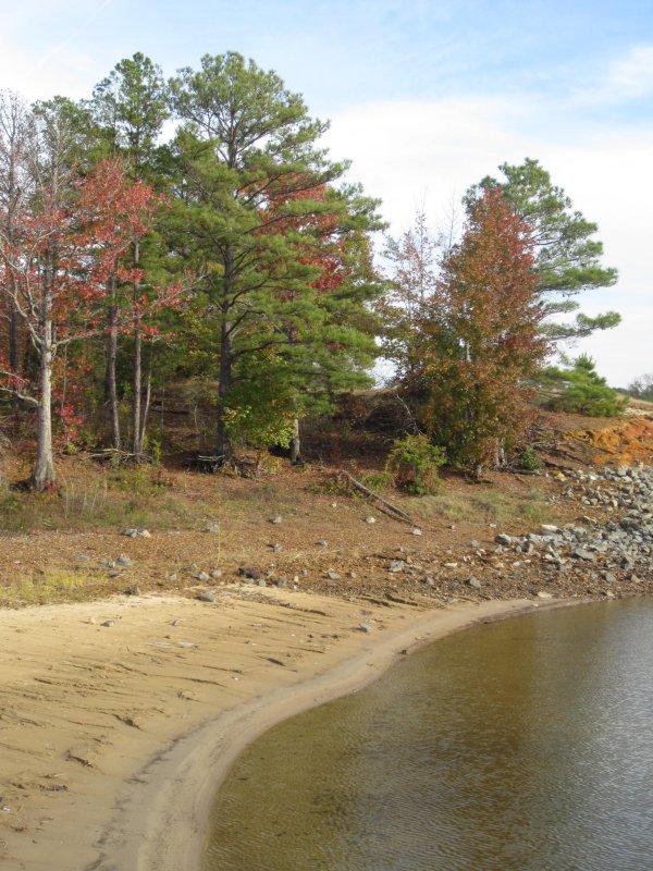 Lake O' the Pines shore photo 19
