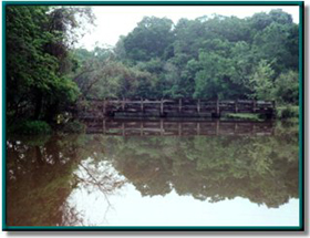 Armand Bayou photo 23