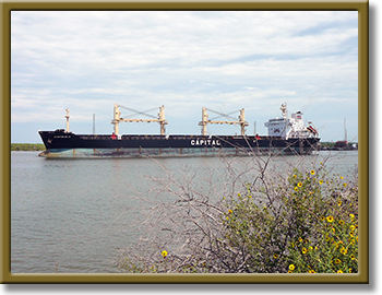 Houston Ship Channel at San Jacinto State Park photo 26 Houston Ship Channel at San Jacinto State Park
