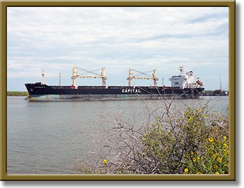 Houston Ship Channel at San Jacinto State Park photo 26