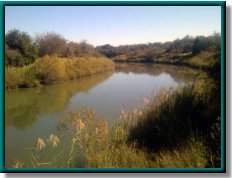 photo of the Aransas River Tidal