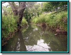 Sandies Creek photo 31