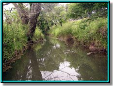 Sandies Creek photo 31