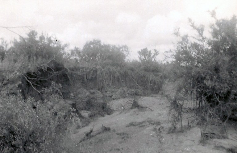Petrolina Creek flood photo 32