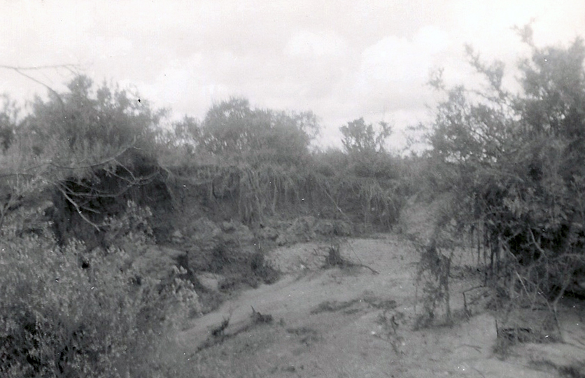 Petrolina Creek flood photo 32