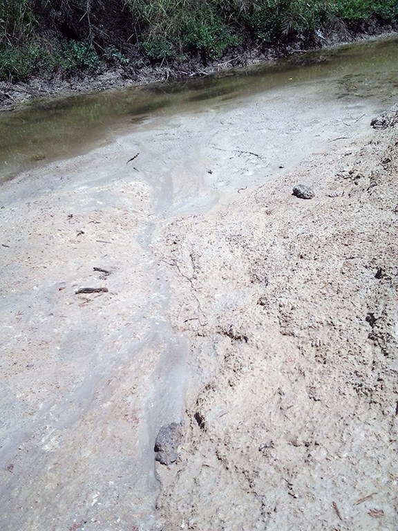 Petrolina Creek sediment photo 32
