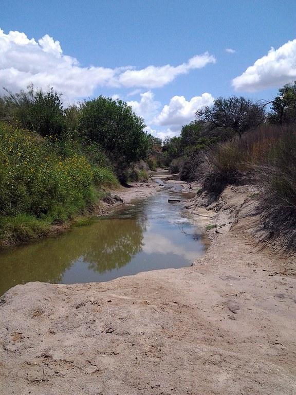 Petrolina Creek sunny day photo 32