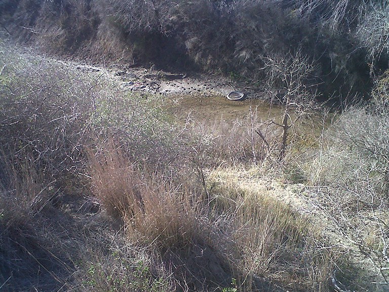 Petrolina Creek trash photo 32