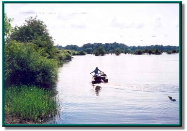 Sam Rayburn Reservoir photo 36