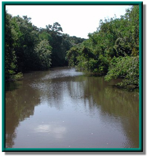 Adams Bayou photo 37