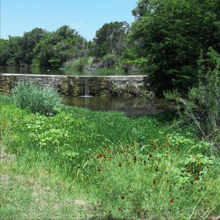 Guadalupe River at Monroe Drive photo 65