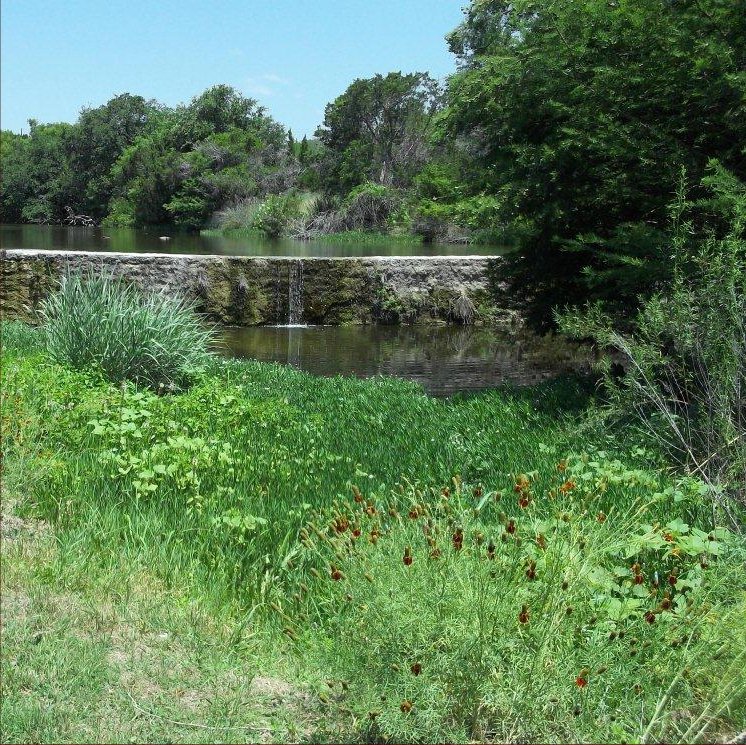 Guadalupe River at Monroe Drive photo 65