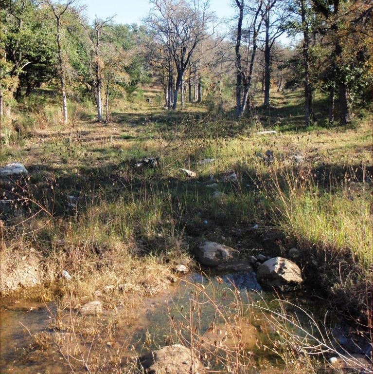 Third Creek at Ivy High School photo 65