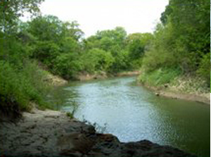 Trinity River Segment 0841 at Collins Street