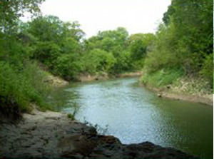 Trinity River at Collins Street 66