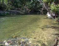 Gilleland Creek near railroad bridge Gilleland Creek near railroad bridge