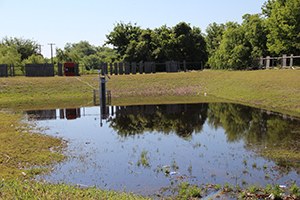 Gilleland Creek outflow sampler photo 69