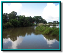 photo of Dickinson Bayou at FM 517