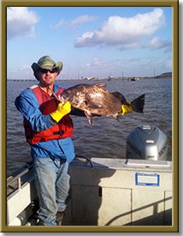 HSC fish photo 96