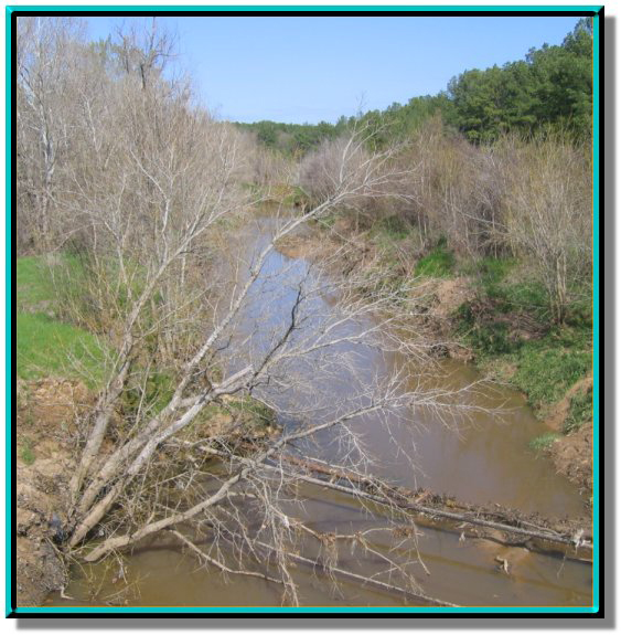 photo of grace creek