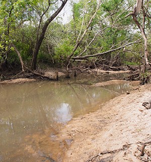 Arenosa Creek photo 108