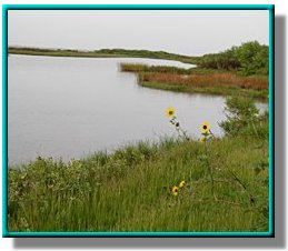 photo of copano bay