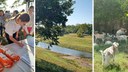 2025:Better Bayous, Better Texas