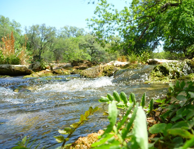 P1050670.JPG Texas Commission on Environmental Quality www.tceq