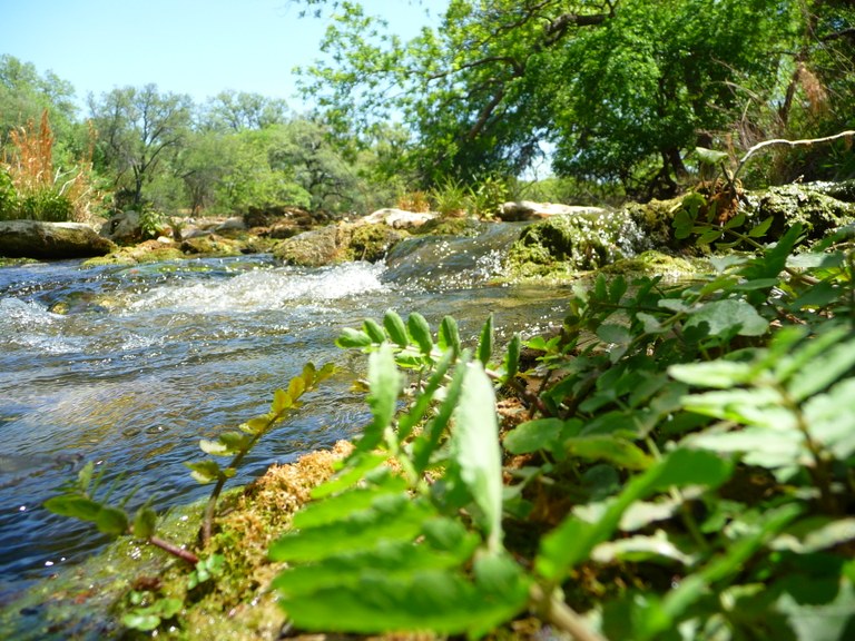 P1050670.JPG