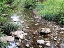 Taylor Slough in Reed Park