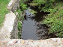 Waller Creek
