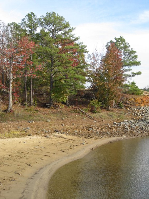 Shore of Lake O' the Pines Texas Commission on Environmental Quality
