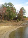 Shore of Lake O' the Pines