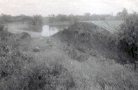 Petronila Creek at Flood Stage
