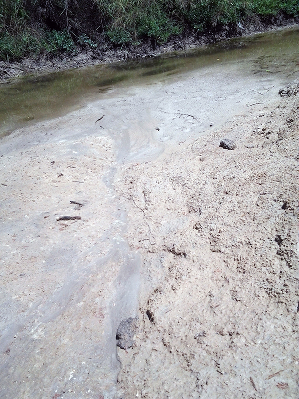 Sediment into Petronila Creek
