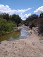 Petronila Creek on a Sunny Day