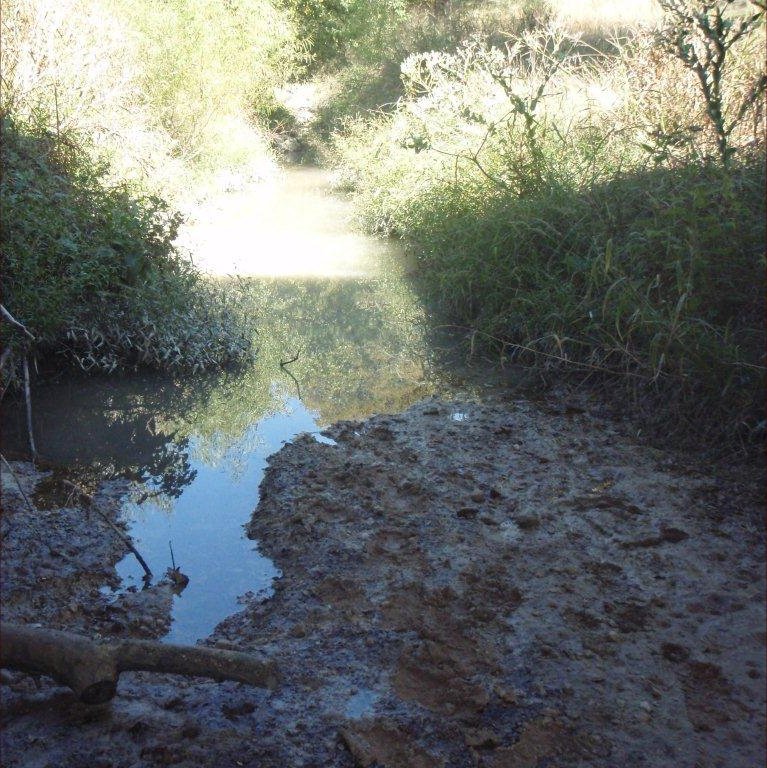 Third Creek at Highway 27