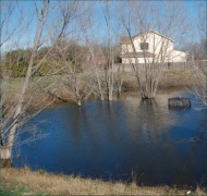 Copperhead Detention Basin